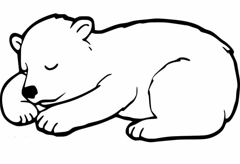 Chọn ngay tranh tô màu gấu cute để bé tô những bức tranh xinh