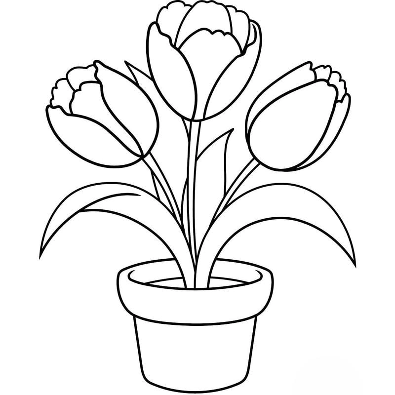 Kho ảnh chất lượng cao ảnh tô màu hoa tulip