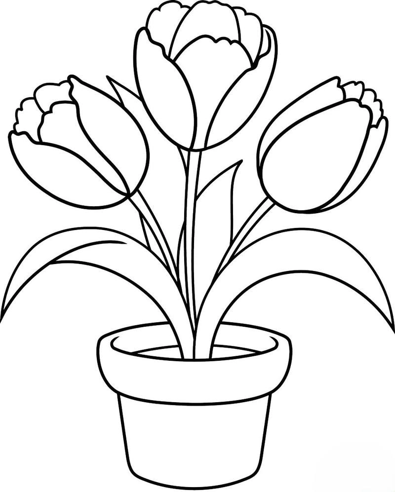 Bộ sưu tập tranh tô màu hoa tulip cực xinh cho bé gái