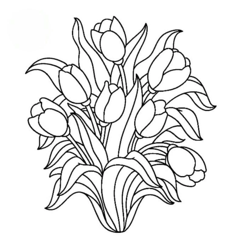 Bé tập tô với tranh tô màu bó hoa tulip rực rỡ