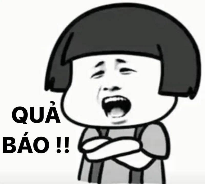 Xem ngay loạt ảnh meme gấu trúc bựa cực hài