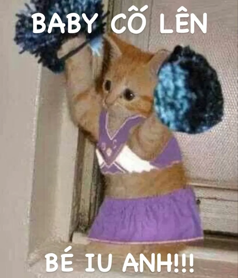 Meme cố lên là gì?