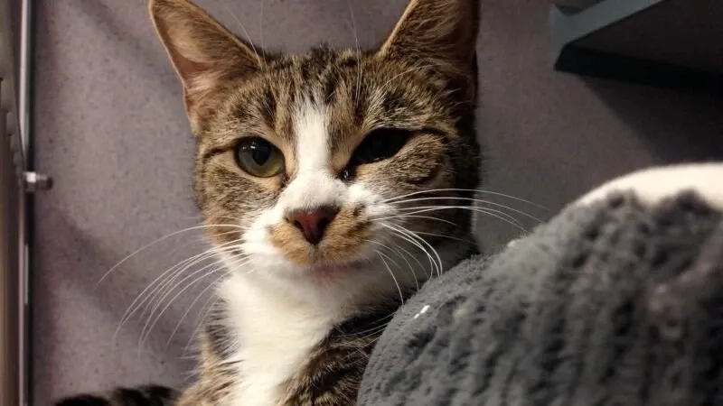 Nét mặt này chính là định nghĩa chuẩn của mặt khinh bỉ