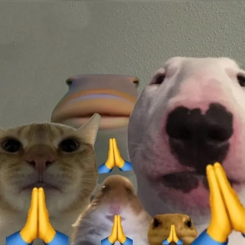 Khi idol comeback bất ngờ fan lập tức gửi lạy meme