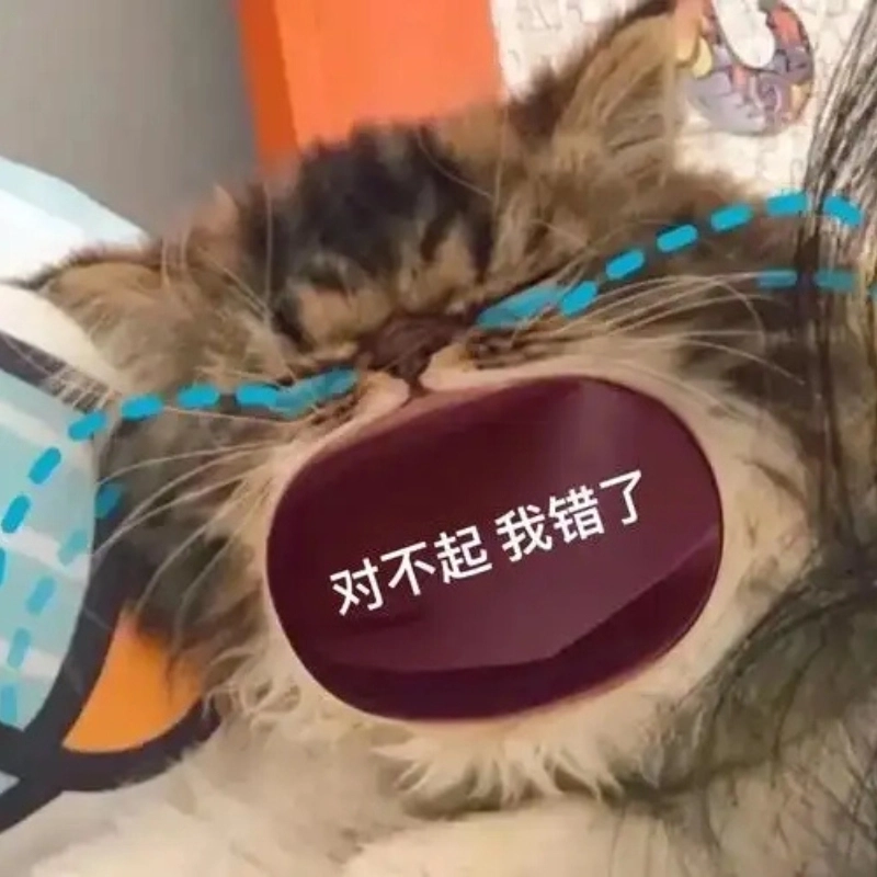 Tìm ngay khóc meme mèo để thêm gia vị cho cuộc trò chuyện