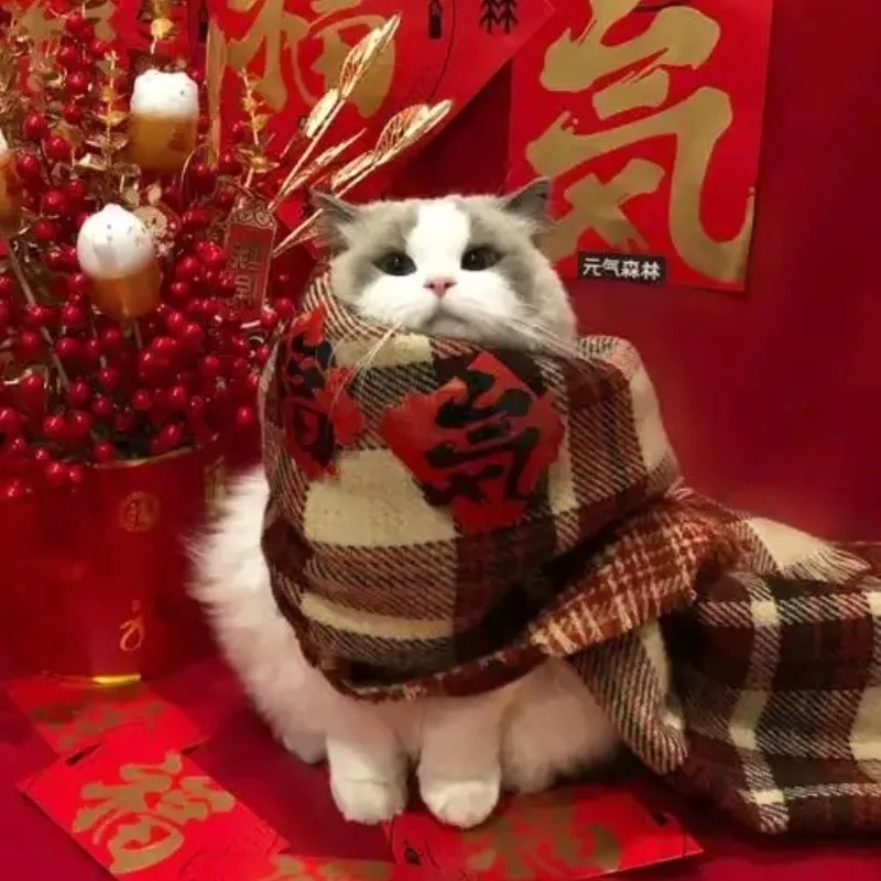 Đón Tết vui nhộn với avatar tết mèo meme