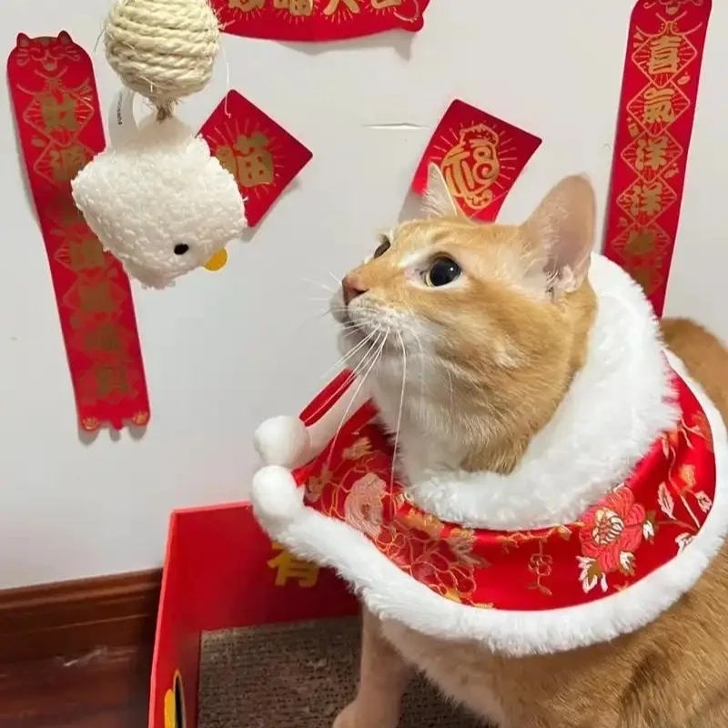 Ảnh meme mèo Tết siêu hài khiến dân mạng cười nghiêng ngả