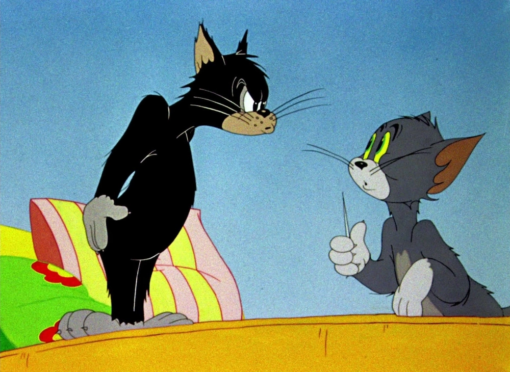 Bộ sưu tập mèo tom meme gây bão cộng đồng mạng