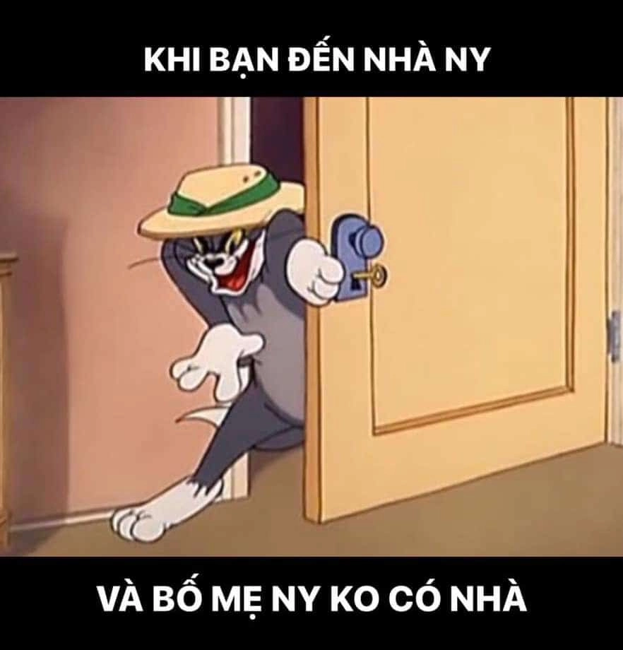 Khám phá ngay ảnh meme tom siêu bựa cực chất