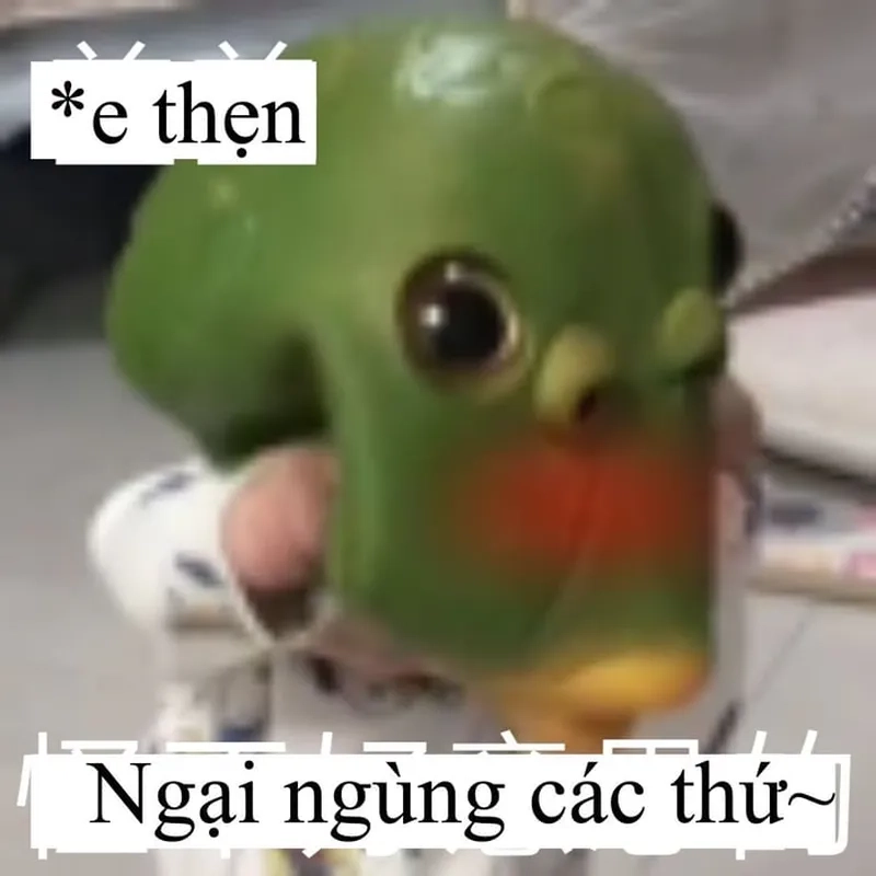 Tag ngay bạn thân vào loạt meme ngại ngùng này
