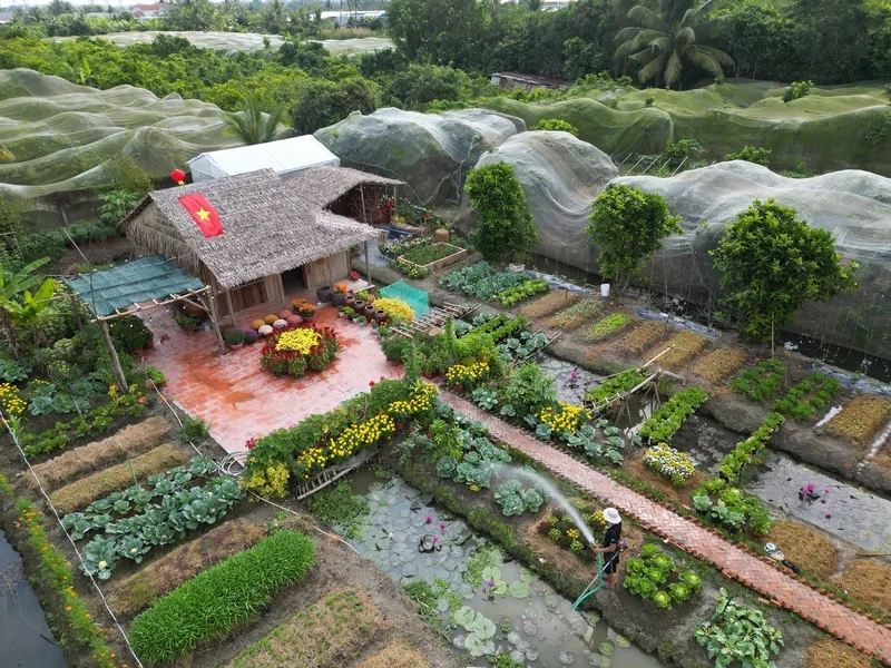 Giới thiệu đôi nét về nhà lá miền Tây