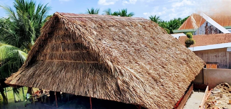 Mảng xanh thoáng mát ở sân trước Đồng Tháp