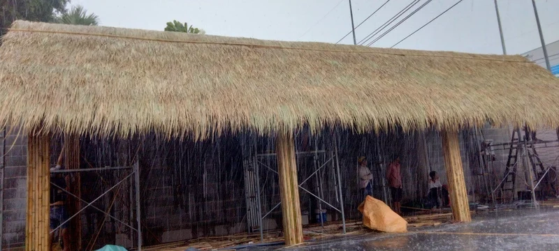 Nhà mái lá Đồng Tháp – Nét đẹp quê hương thanh bình