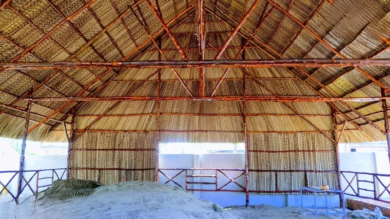 Vẻ đẹp mộc mạc qua ảnh nhà mái lá Đồng Tháp