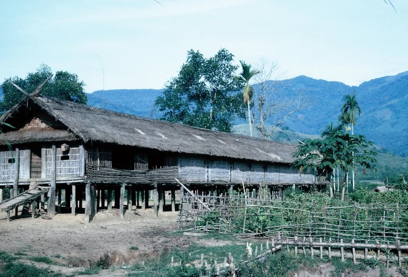 Bộ sưu tập hình ảnh nhà sàn tây nguyên đẹp và ấn tượng