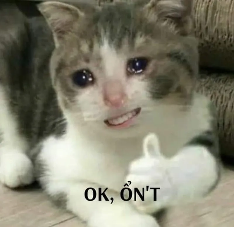 Hình ảnh hài hước khiến ai cũng phải cười hình meme ok