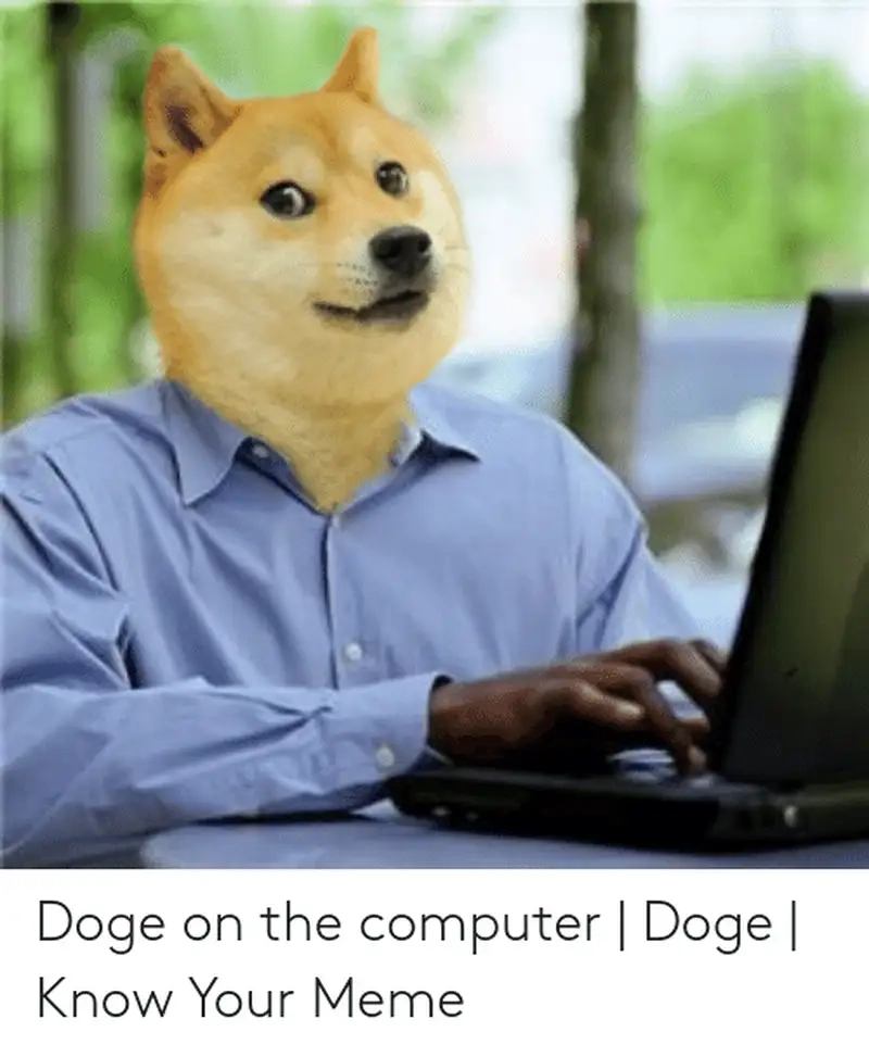 Đừng bỏ lỡ meme shiba bonk siêu hài hước đang viral