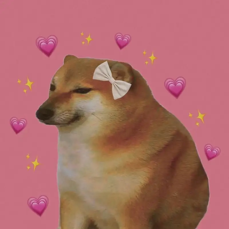 Bộ sưu tập doge shiba inu dog meme cực chất cho dân meme