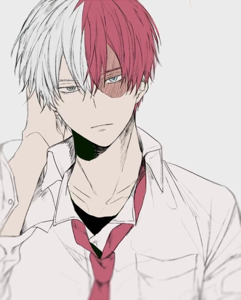 Fan art siêu chất chỉ dành cho shoto lovers