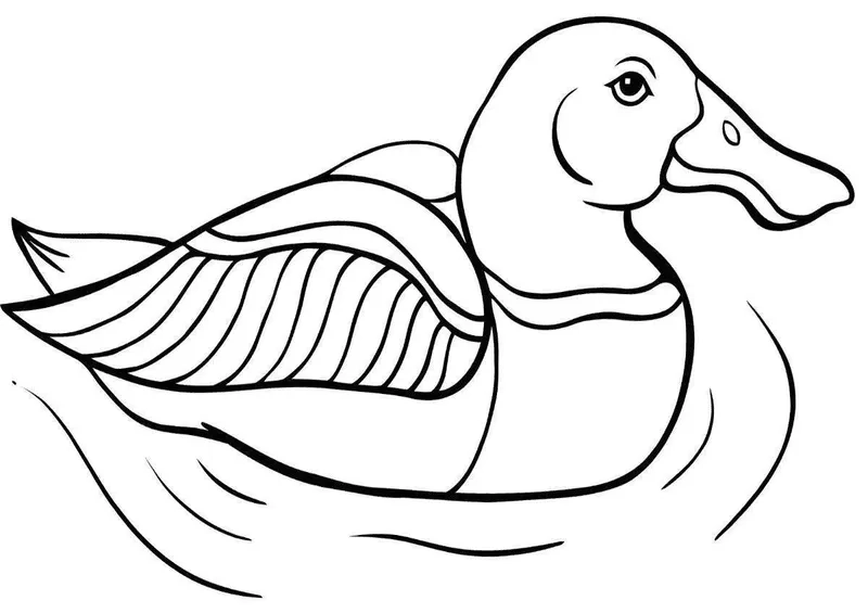 Bé yêu sáng tạo cùng tranh tô màu con vịt rực rỡ