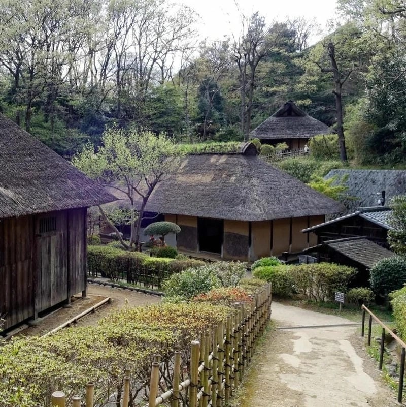 Khám phá không gian xanh mát tại Villa đồi chè Pleiku