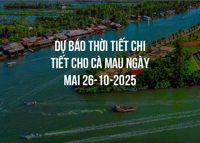 Dự báo thời tiết chi tiết cho Cà Mau ngày mai 26-10-2025