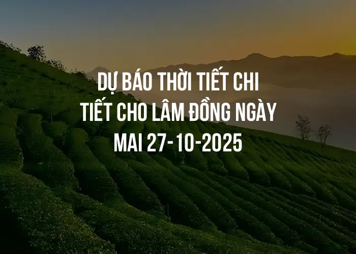 Dự báo thời tiết chi tiết cho Lâm Đồng ngày mai 27-10-2025