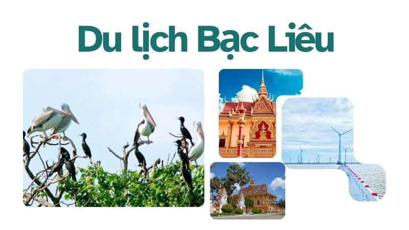 Thời gian vàng để vi vu Bạc Liêu