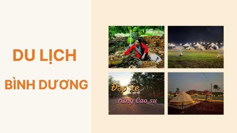 Hoạt động lý tưởng tại Bình Dương