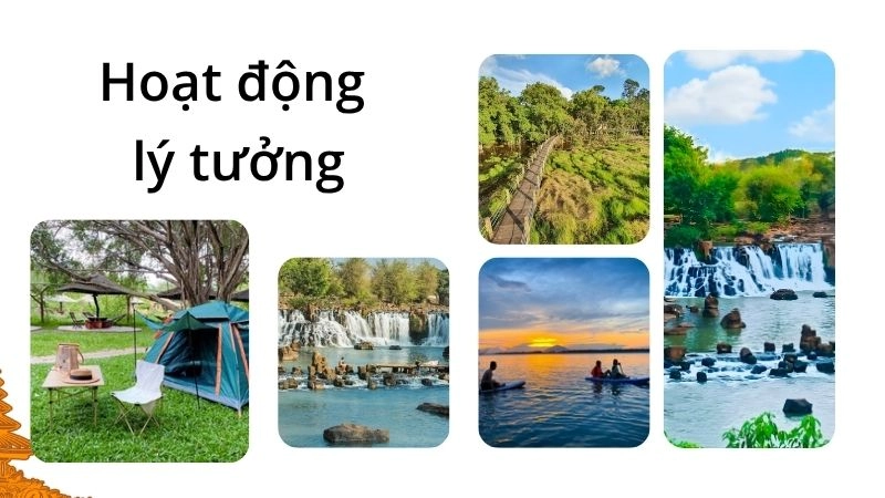 Hoạt động lý tưởng
