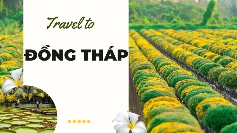 Cẩm nang du lịch Đồng Tháp: Khí hậu, Mùa đẹp & Lời khuyên