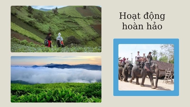 Hoạt động hoàn hảo