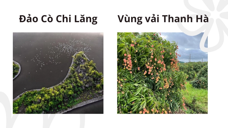 Các điểm đến không thể bỏ qua