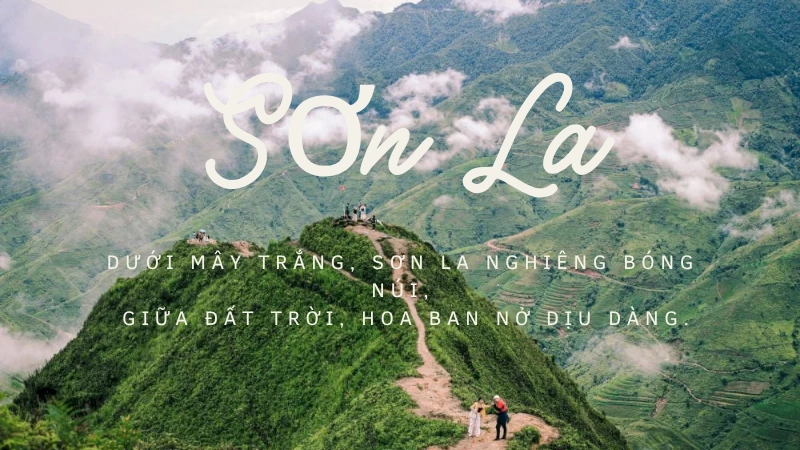 Cẩm nang du lịch Sơn La- Khí hậu, Mùa đẹp & Mẹo (A-Z)