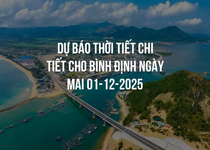 Dự báo thời tiết chi tiết cho Bình Định ngày mai 01-12-2025