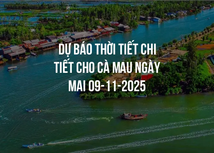 Dự báo thời tiết chi tiết cho Cà Mau ngày mai 09-11-2025