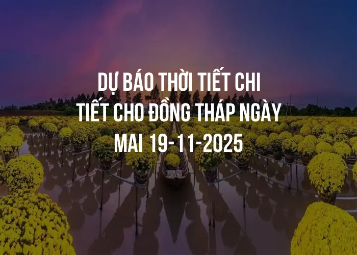 Dự báo thời tiết chi tiết cho Đồng Tháp ngày mai 19-11-2025
