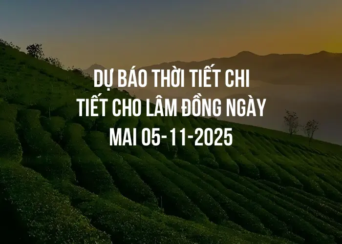 Dự báo thời tiết chi tiết cho Lâm Đồng ngày mai 05-11-2025