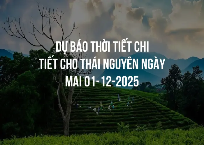 Dự báo thời tiết chi tiết cho Thái Nguyên ngày mai 01-12-2025