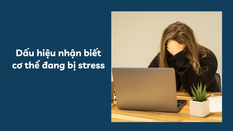 Các dấu hiệu nhận biết cơ thể đang bị stress quá mức