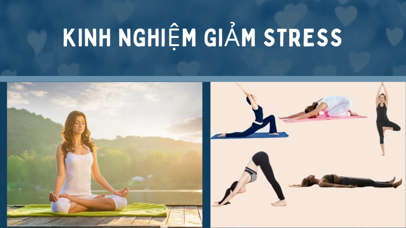 Áp dụng các bài tập yoga nhẹ nhàng giúp giảm stress hiệu quả