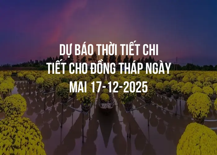 Dự báo thời tiết chi tiết cho Đồng Tháp ngày mai 17-12-2025