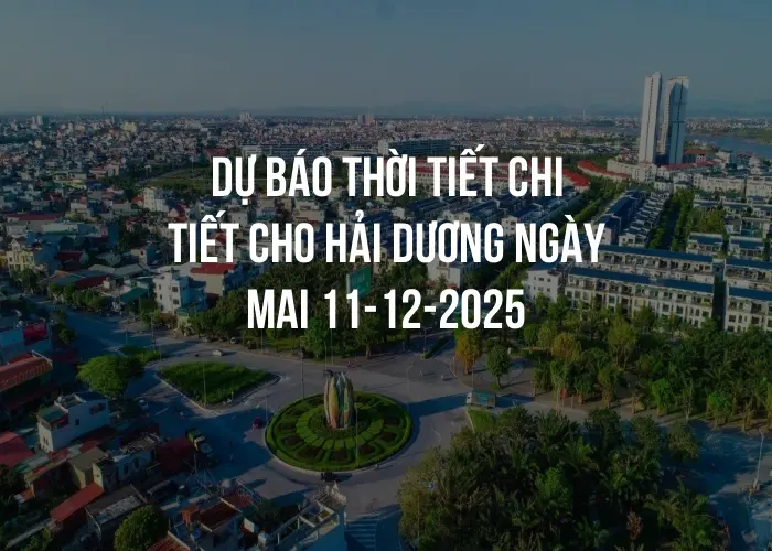 Dự báo thời tiết chi tiết cho Hải Dương ngày mai 11-12-2025