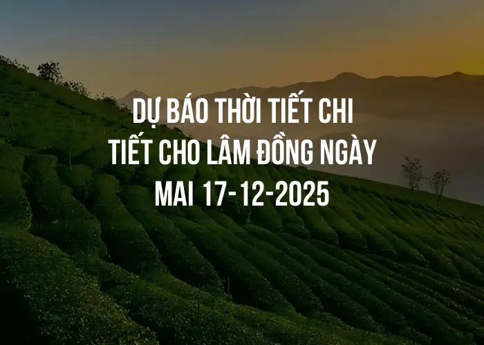 Dự báo thời tiết chi tiết cho Lâm Đồng ngày mai 17-12-2025