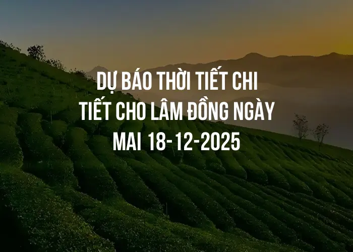 Dự báo thời tiết chi tiết cho Lâm Đồng ngày mai 18-12-2025