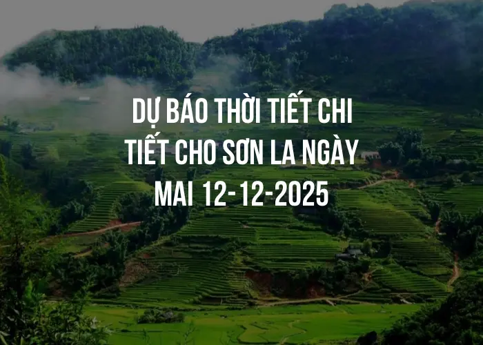 Dự báo thời tiết chi tiết cho Sơn La ngày mai 12-12-2025