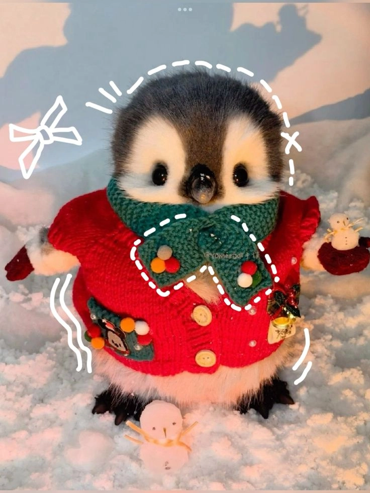 Cánh cụt meme biểu cảm độc đáo và rất đáng yêu