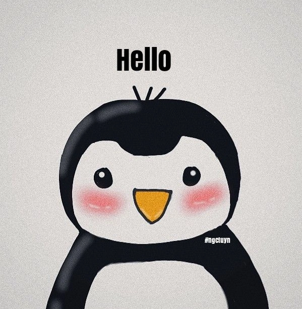 Ảnh chim cánh cụt meme đáng yêu ngộ nghĩnh siêu viral ngay