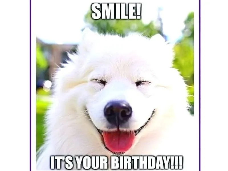 Hình chúc mừng sinh nhật meme hài hước thú vị