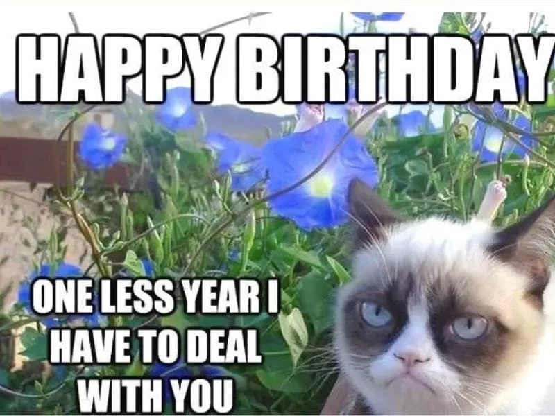 Meme happy birthday to you vui nhộn dễ thương